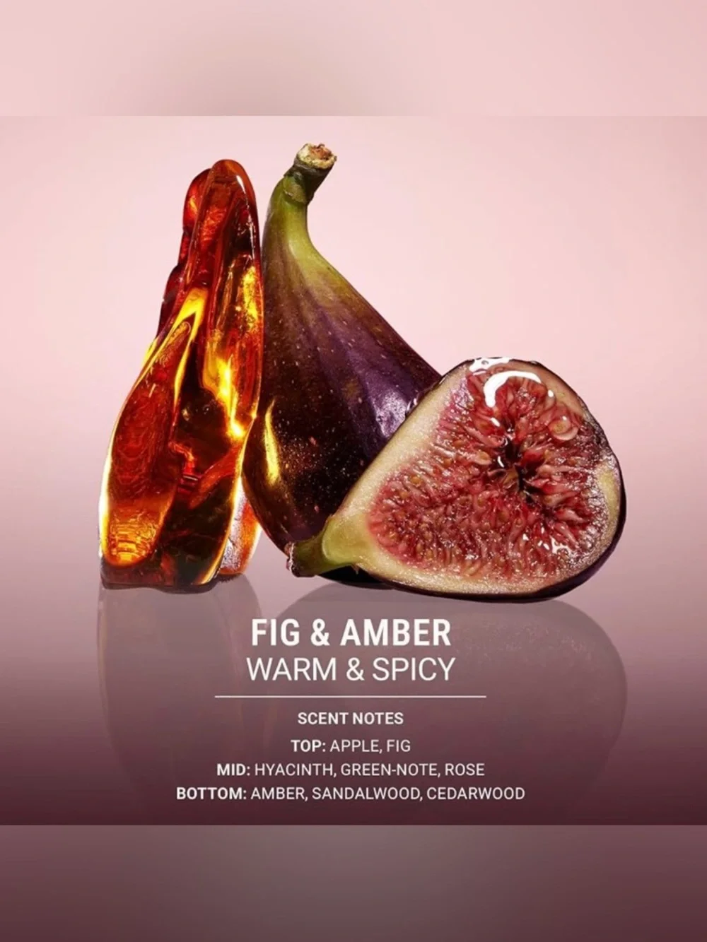 VOESH Fig & Amber Firming Body Balm